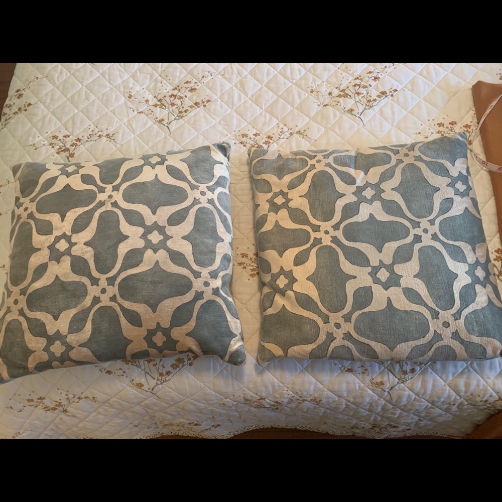 Pair of Room and Board throw pillows